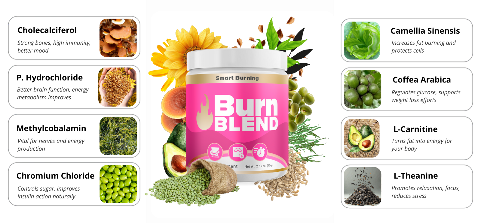 BurnBlend Ingredients